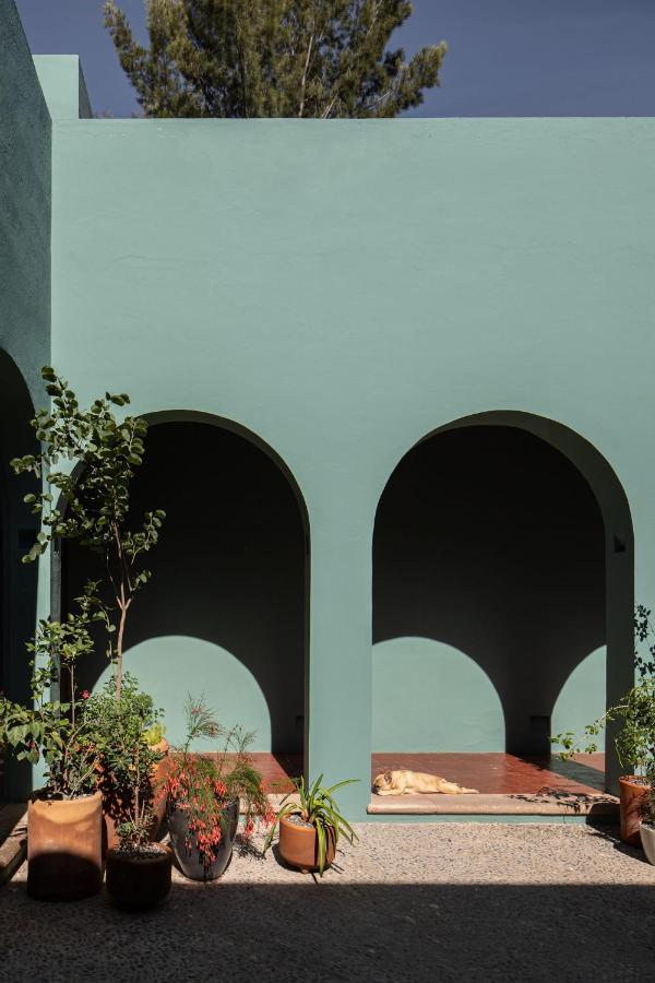 Holt Balcones Guesthouse - King Bed Room San Miguel de Allende Eksteriør billede
